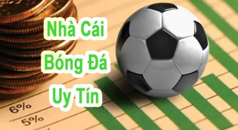 Giấy phép hoạt động sẽ là bằng chứng uy tín nhất