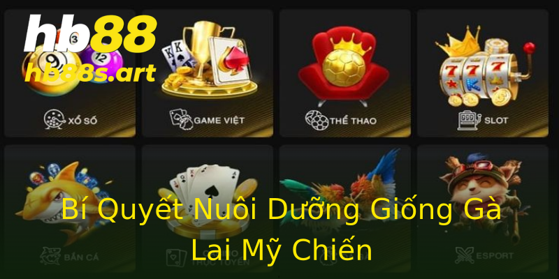 Bí Quyết Nuôi Dưỡng Giống Gà Lai Mỹ Chiến