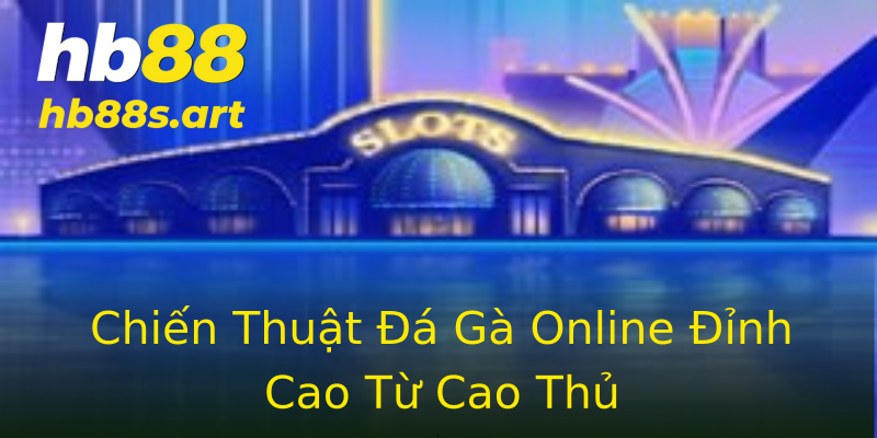 Chiến Thuật Đá Gà Online Đỉnh Cao Từ Cao Thủ