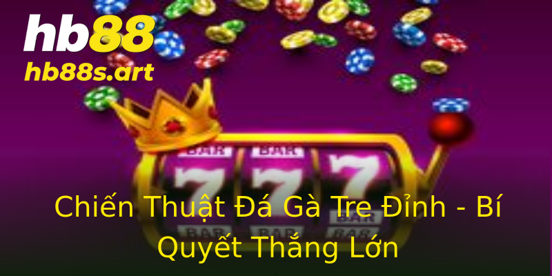 Chiến Thuật Đá Gà Tre Đỉnh - Bí Quyết Thắng Lớn