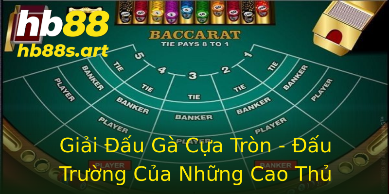 Giải Đấu Gà Cựa Tròn - Đấu Trường Của Những Cao Thủ