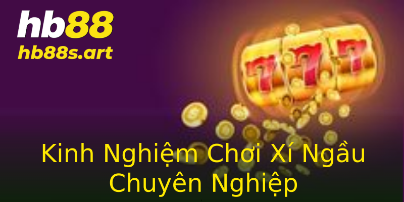 Kinh Nghiệm Chơi Xí Ngầu Chuyên Nghiệp