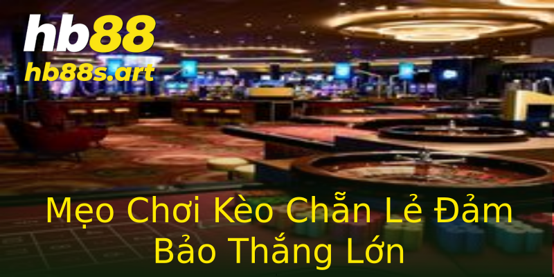Mẹo Chơi Kèo Chẵn Lẻ Đảm Bảo Thắng Lớn