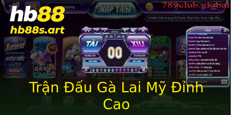 Trận Đấu Gà Lai Mỹ Đỉnh Cao