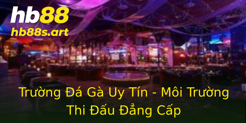 Trường Đá Gà Uy Tín - Môi Trường Thi Đấu Đẳng Cấp