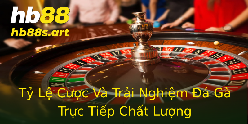 Tỷ Lệ Cược Và Trải Nghiệm Đá Gà Trực Tiếp Chất Lượng